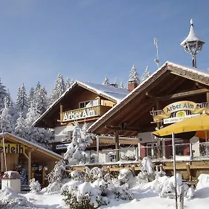 Arber Alm Bayerisch Eisenstein